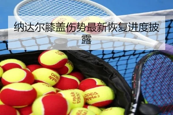 纳达尔膝盖伤势最新恢复进度披露